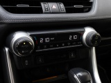 Toyota RAV4 2.5 Hybrid AWD Executive | Panoramadak | JBL Audio | 360 Camera