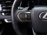 Lexus RX 450h+ President Line | Panoramadak | Mark Levinson | Park-Assist