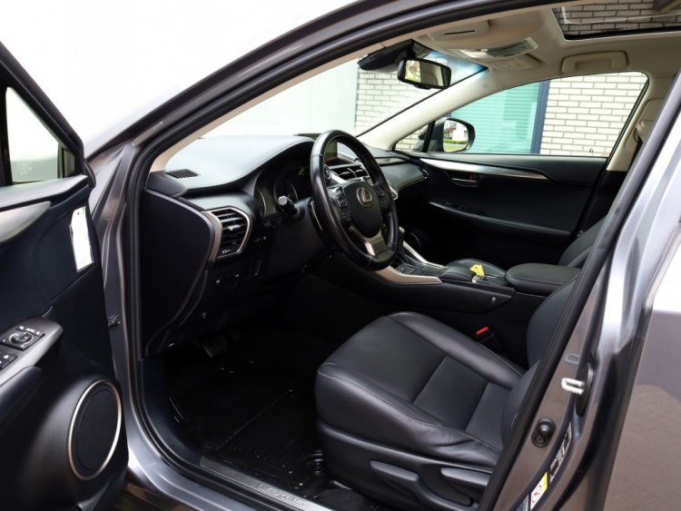 Lexus NX 300h AWD Sport Edition | Panoramadak | Leder | Apple Carplay
