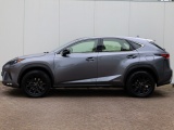 Lexus NX 300h AWD Sport Edition | Panoramadak | Leder | Apple Carplay