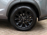 Lexus NX 300h AWD Sport Edition | Panoramadak | Leder | Apple Carplay
