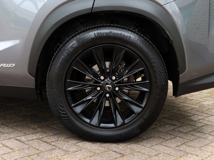 Lexus NX 300h AWD Sport Edition | Panoramadak | Leder | Apple Carplay