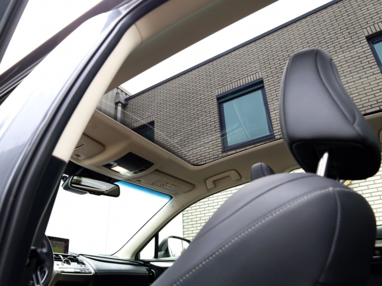 Lexus NX 300h AWD Sport Edition | Panoramadak | Leder | Apple Carplay