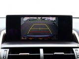 Lexus NX 300h AWD Sport Edition | Panoramadak | Leder | Apple Carplay