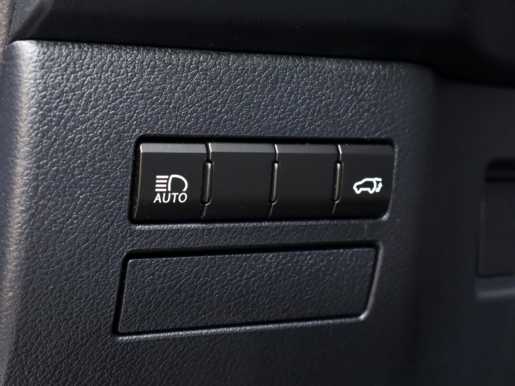Lexus NX 300h AWD Sport Edition | Panoramadak | Leder | Apple Carplay