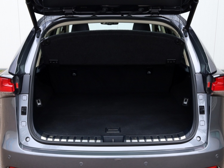 Lexus NX 300h AWD Sport Edition | Panoramadak | Leder | Apple Carplay