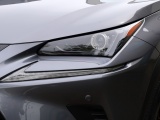 Lexus NX 300h AWD Sport Edition | Panoramadak | Leder | Apple Carplay