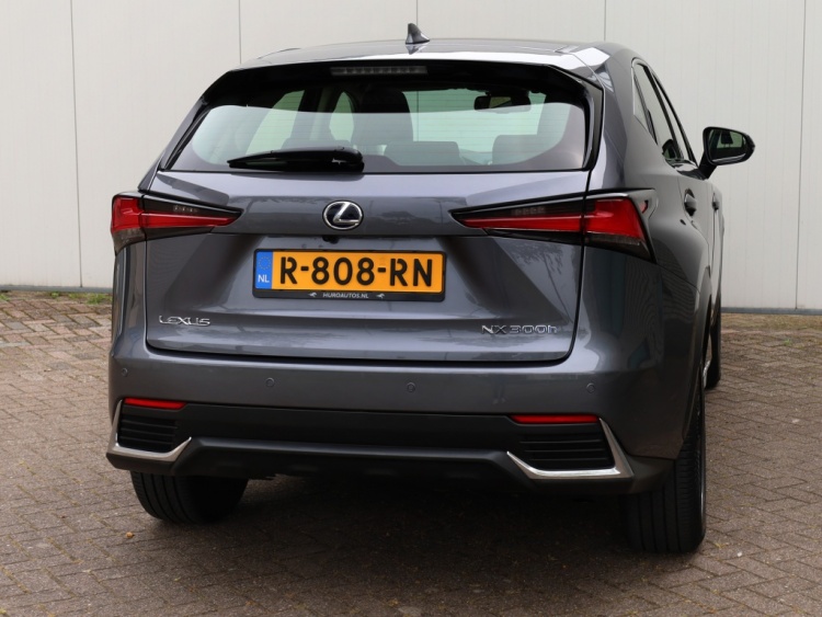 Lexus NX 300h AWD Sport Edition | Panoramadak | Leder | Apple Carplay