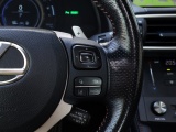 Lexus RC 300h F Black Edition
