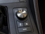Lexus RC 300h F Black Edition