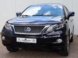 Lexus RX 450h 4WD Executive | Mark Levinson | Adaptive Cruise | Schuifdak