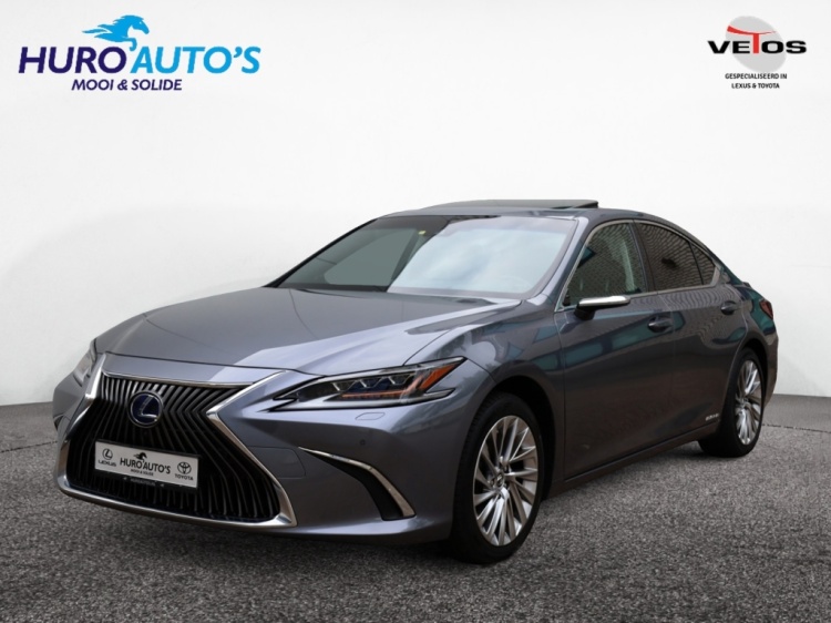 Lexus ES 300h President Line | Mark Levinson | Camerabeeld Buitenspiegels