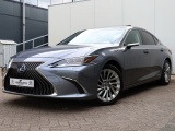 Lexus ES 300h President Line | Mark Levinson | Camerabeeld Buitenspiegels