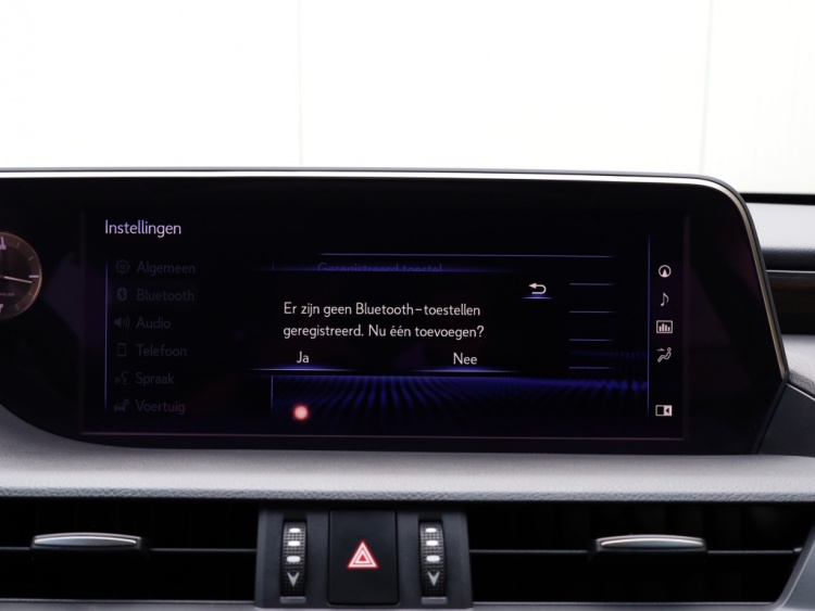 Lexus ES 300h President Line | Mark Levinson | Camerabeeld Buitenspiegels