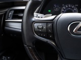 Lexus ES 300h President Line | Mark Levinson | Camerabeeld Buitenspiegels
