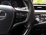 Lexus ES 300h President Line | Mark Levinson | Camerabeeld Buitenspiegels