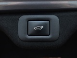 Lexus ES 300h President Line | Mark Levinson | Camerabeeld Buitenspiegels