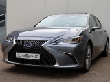 Lexus ES 300h President Line | Mark Levinson | Camerabeeld Buitenspiegels