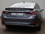 Lexus ES 300h President Line | Mark Levinson | Camerabeeld Buitenspiegels