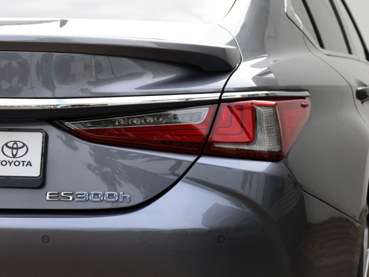 Lexus ES 300h President Line | Mark Levinson | Camerabeeld Buitenspiegels