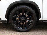 Lexus NX 350h AWD F Sport Line | Mark Levinson | Panoramadak | 360 Camera