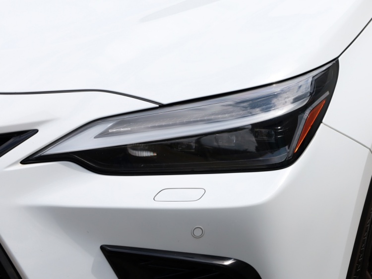 Lexus NX 350h AWD F Sport Line | Mark Levinson | Panoramadak | 360 Camera