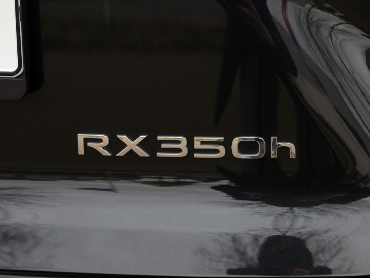 Lexus RX 350h Executive Line | Safety-pack | 360 Camera | Trekhaak | Head-Up