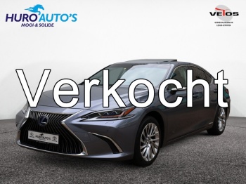 Lexus ES 300h President Line | Mark Levinson | Camerabeeld Buitenspiegels