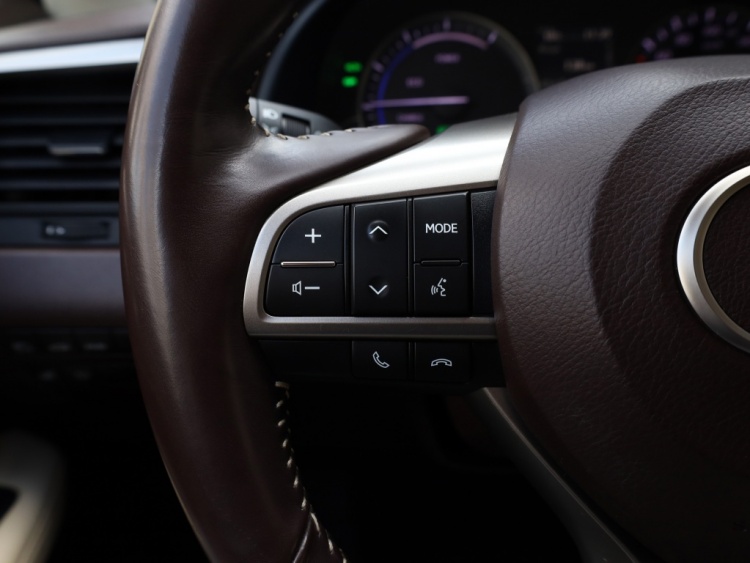 Lexus RX 450h 4WD President Line | Mark Levinson | Panoramadak | Trekhaak