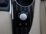 Lexus RX 450h 4WD President Line | Mark Levinson | Panoramadak | Trekhaak