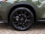 Lexus NX 350h AWD F Sport Line | Mark Levinson | 360 Camera | Trekhaak