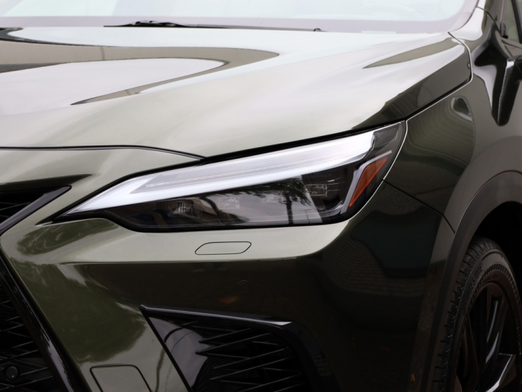 Lexus NX 350h AWD F Sport Line | Mark Levinson | 360 Camera | Trekhaak