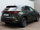 Lexus NX 450h+ AWD Luxury Line Premium | 360 Camera | Stoelventilatie | Memory