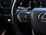 Lexus NX 450h+ AWD Executive Line | President Pack | Park-Assist | Stoelventilatie