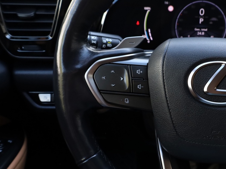 Lexus NX 450h+ AWD Executive Line | President Pack | Park-Assist | Stoelventilatie