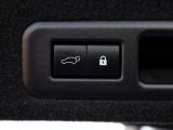 Lexus RX 450h AWD F Sport Premium | Panoramadak | Mark Levinson | Trekhaak