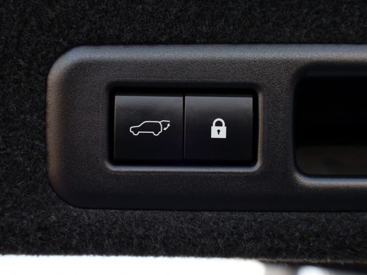 Lexus RX 450h AWD F Sport Premium | Panoramadak | Mark Levinson | Trekhaak