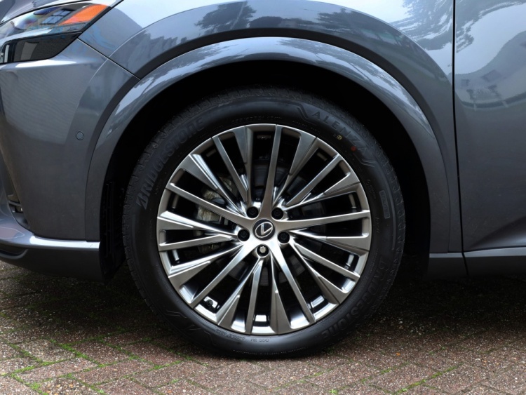 Lexus RX 450h+ President Line | Panoramadak | Mark Levinson | Park-Assist
