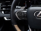 Lexus RX 450h+ President Line | Panoramadak | Mark Levinson | Park-Assist