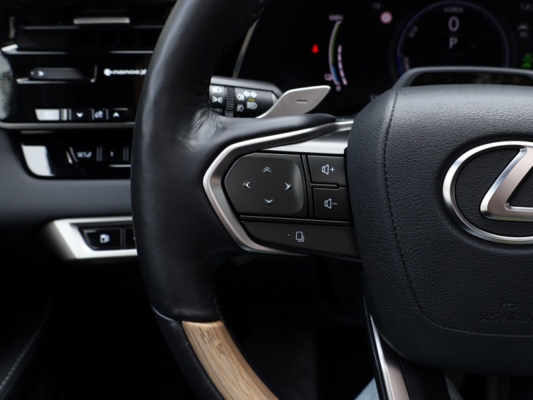 Lexus RX 450h+ President Line | Panoramadak | Mark Levinson | Park-Assist