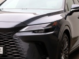 Lexus RX 450h+ President Line | Panoramadak | Mark Levinson | Park-Assist