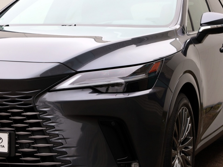 Lexus RX 450h+ President Line | Panoramadak | Mark Levinson | Park-Assist