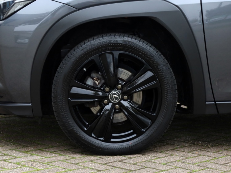 Lexus UX 250h Midnight Edition | Leder | Stoelverwarming | Dodehoek