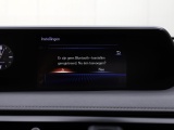 Lexus UX 250h Midnight Edition | Leder | Stoelverwarming | Dodehoek