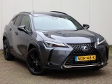 Lexus UX 250h Midnight Edition | Leder | Stoelverwarming | Dodehoek